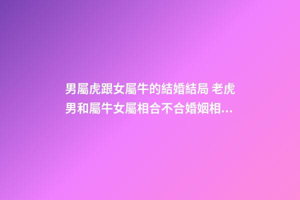 男屬虎跟女屬牛的結婚結局 老虎男和屬牛女屬相合不合婚姻相配嗎